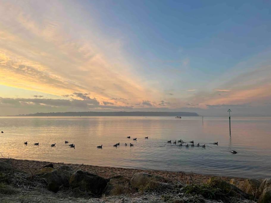 The Nook - Cosy Coastal Retreat Near Sandbanks Poole Luaran gambar